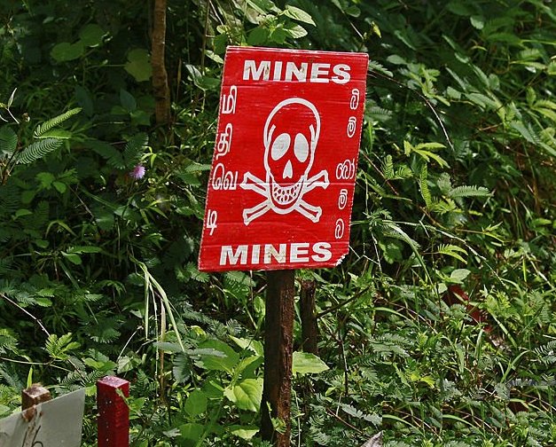 Blog Image